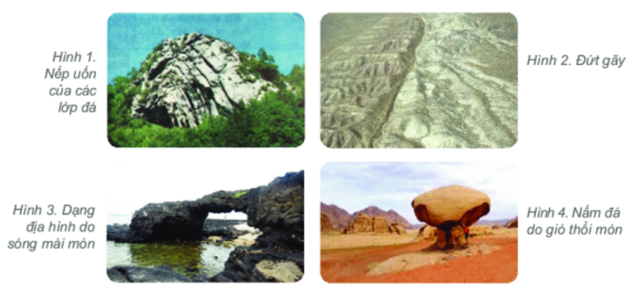 Quá trình nội sinh và ngoại sinh