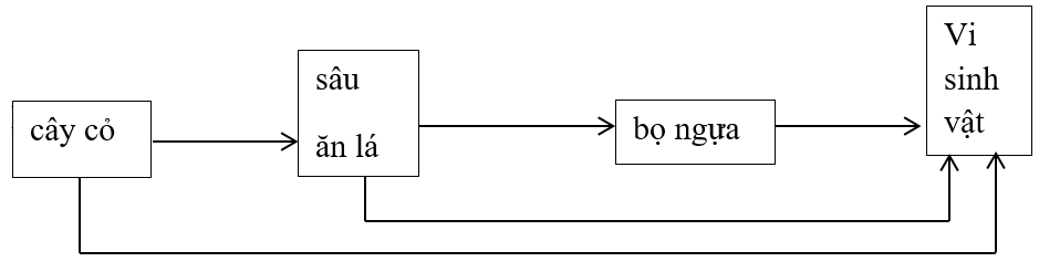 Giáº£i vá» bÃ i táº­p Sinh há»c 9 | Giáº£i VBT Sinh há»c 9