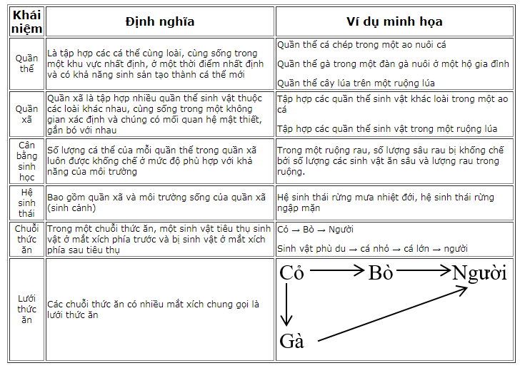 Hệ thống hóa các khái niệm