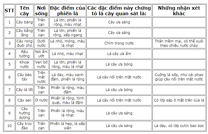 Bảng 45.2. Các đặc điểm hình thái của lá cây