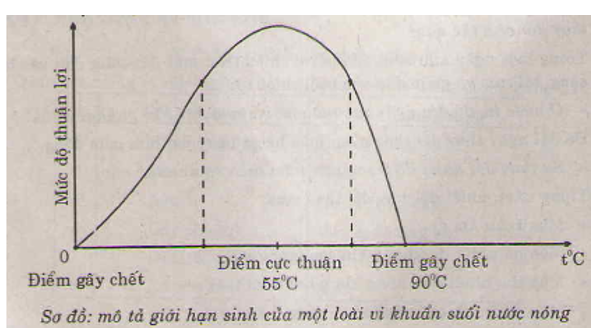 Giải vá» bà i táºp Sinh há»c 9 | Giải VBT Sinh há»c 9