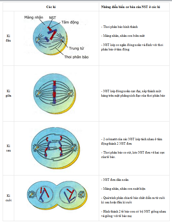 b2 mục I VBT vở bài tập sinh 9