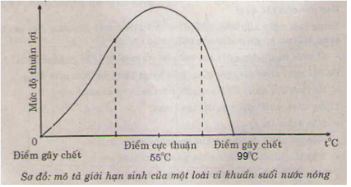 Giới hạn sinh thái vi khuẩn suối nước nóng Giới hạn sinh thái vi khuẩn suối nước nóng