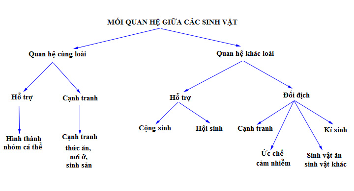 Mối quan hệ giữa các sinh vật Mối quan hệ giữa các sinh vật