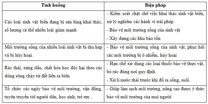 bảo vệ hệ sinh thái biển bảo vệ hệ sinh thái biển