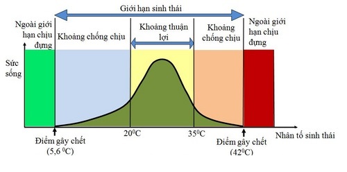 giới hạn sinh thái giới hạn sinh thái