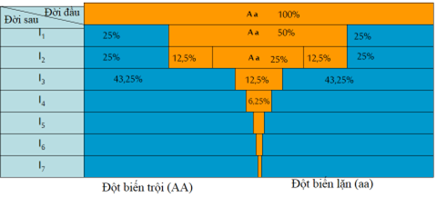 Tỷ lệ các kiểu gen qua các thế hệ tự thụ phấn