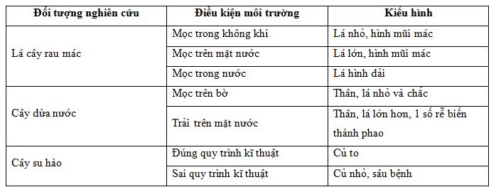 thường biến thường biến