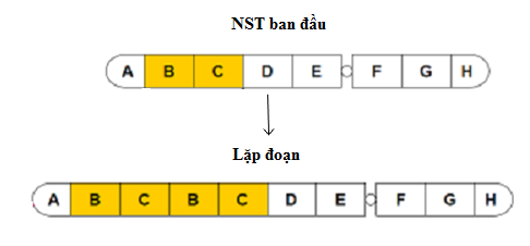 Đột biến lặp đoạn