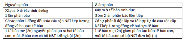 So sánh nguyên phân giảm phân So sánh nguyên phân và giảm phân