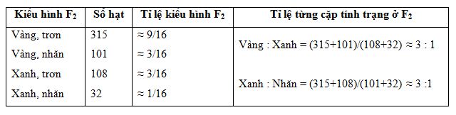 phân tích kết quả lai hai cặp tính trạng của menden