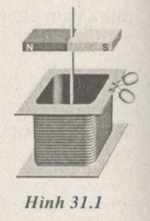 hình 31.1 - bài 31 trang 88 VBT vật lí 7