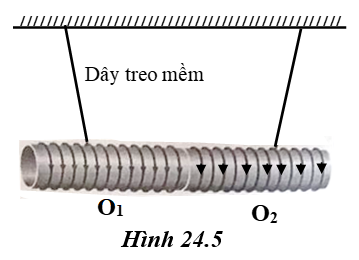 hình 28.5 - bài 28 trang 72 VBT vật lí 7