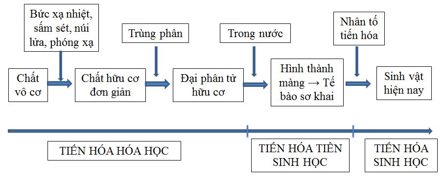 Nguồn gốc sự sống c2-Tr180-SGK-sinh-12-nang-cao
