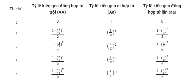 cấu trúc di truyền của quần thể sau n thế hệ tự phối