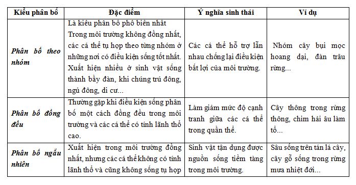 Kiểu phân bố trong quần thể Kiểu phân bố trong quần thể