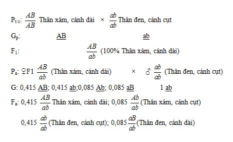 Hình 1. Sơ đồ lai kiểm chứng hoán vị gen Hình 1. Sơ đồ lai kiểm chứng hoán vị gen