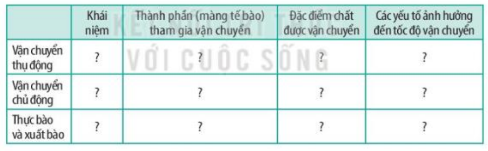 TableDescription automatically generated