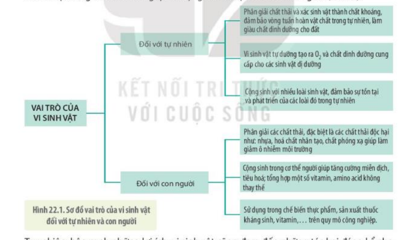 DiagramDescription automatically generated
