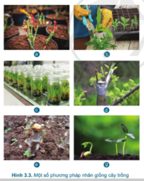 A picture containing text, screenshot, differentDescription automatically generated