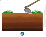 A picture containing foodDescription automatically generated