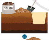 A close-up of some foodDescription automatically generated with medium confidence