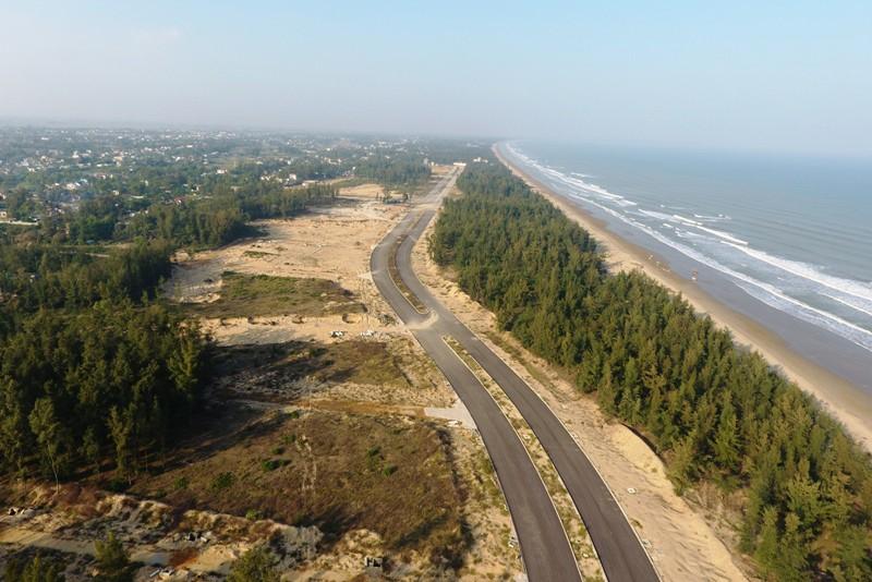 Cận cảnh những cánh rừng phòng hộ ven biển Thanh Hóa bị “xóa sổ” sau 1 quyết định - Báo Người lao động