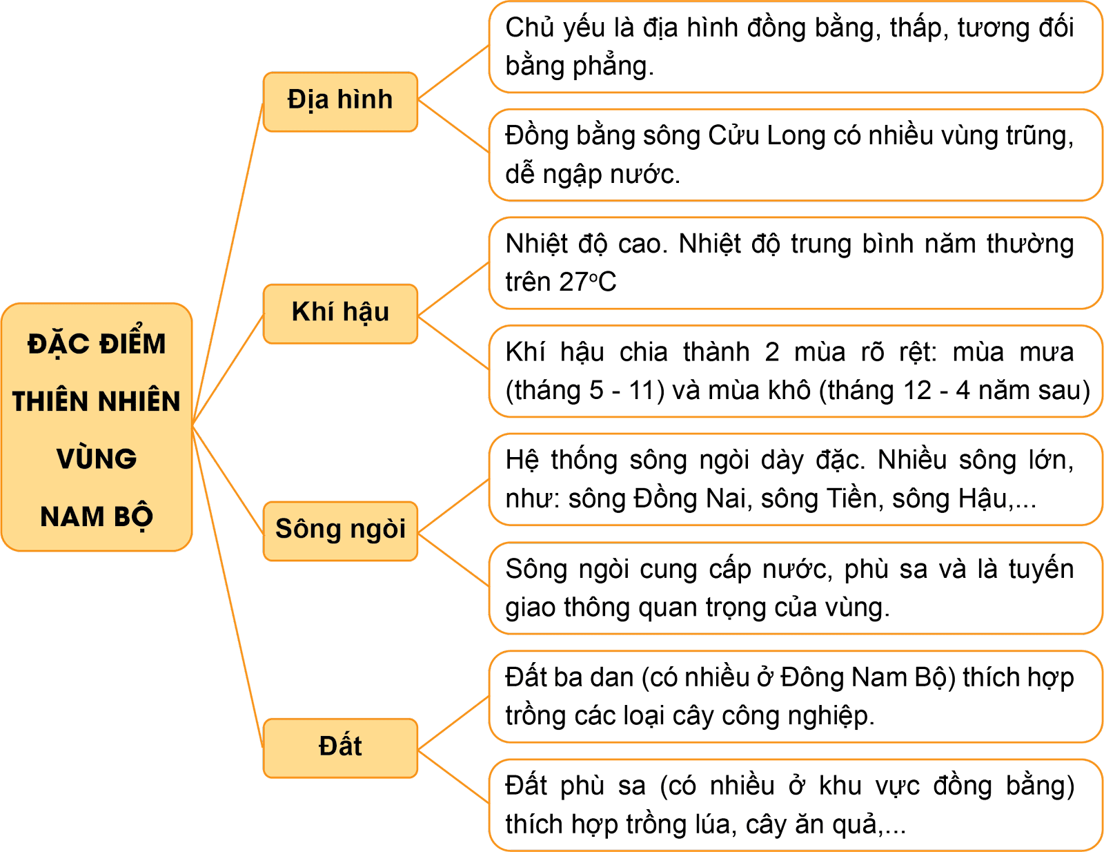 Lịch Sử và Địa Lí lớp 4 Kết nối tri thức Bài 24: Thiên nhiên vùng Nam Bộ