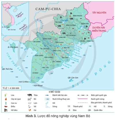 Lịch Sử và Địa Lí lớp 4 Cánh diều Bài 19: Dân cư, hoạt động sản xuất và một số nét văn hóa ở vùng Nam Bộ (ảnh 3)